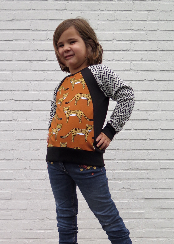 Flex Raglan Sweater PDF Sewing Pattern